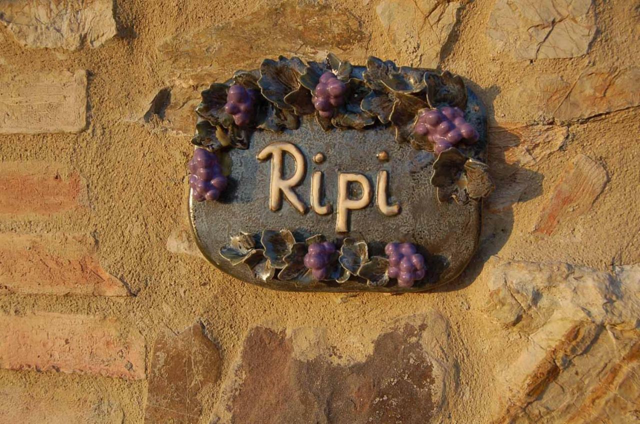 Podere Ripi Вольтерра Екстер'єр фото