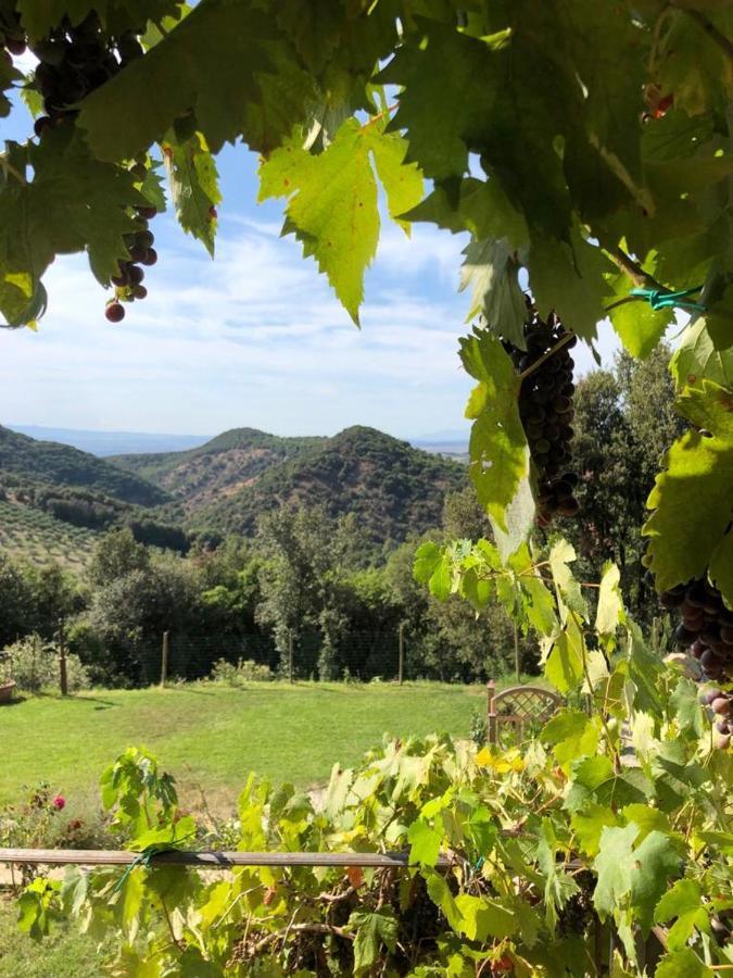 Podere Ripi Вольтерра Екстер'єр фото